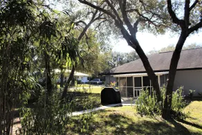 Heart of Homosassa - Image 3