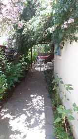 Beautiful summer house in Agia Efimia - Image 3