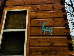 Deer Riverfront Cabin - Image 2