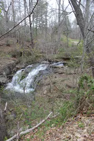 ”Nora Mae's Place” a Charming Creekside Get Away - Image 3
