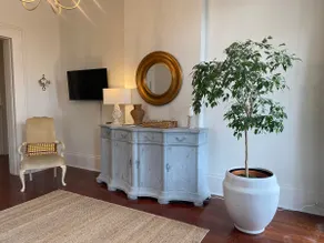 The Ficus - Image 2