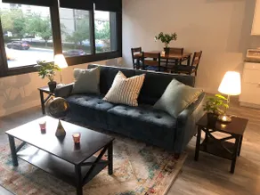 New Exquisite Condo WiFi downtown Silver MD - Image 2