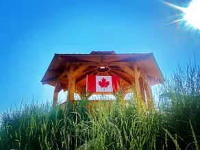 Cozy Log Cabin Green - Image 4