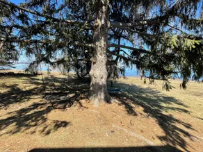 Lake front house on Lake Champlain - Image 4