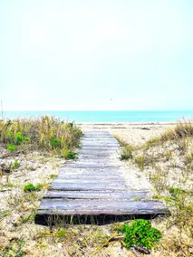 A Natural Getaway - Image 2