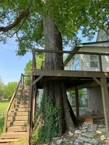 Cozy Tree House @ Herrington Lake near Lexington - Image 2