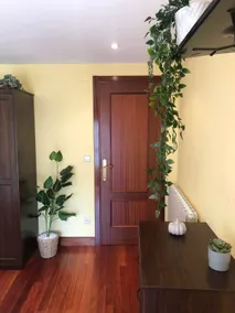Lea - Accommodation surrounded by greenery and close to the sea - Image 4