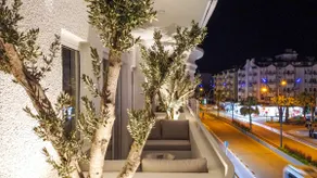 L'olive Homes Bohemian Suite - Image 5