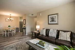Luxury Foothills Apartment 15 Minutes to Balloon Fiesta Park! - Image 4