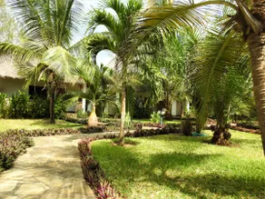 Sheba Cottages - Diani Beach - Image 2