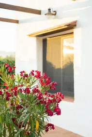 Mediterranean country house in Alicante - Image 4