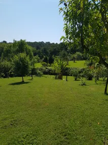 Romantic cottage in a green setting - Image 4