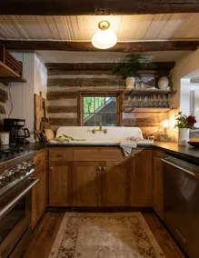Asheville Moss and Ivy Cabin - Image 5