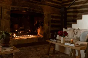Asheville Moss and Ivy Cabin - Image 4
