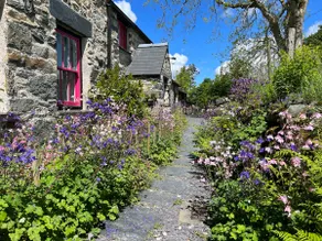 Ty Newydd traditional Welsh cottage - Image 2