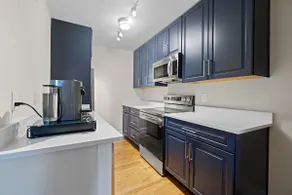 Spacious Glamour in Shaw/Convention Ctr/DWTN APT - Image 5