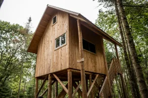 The treehouse, Le Perché - Image 3