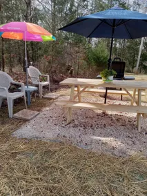 The Pea Ridge Hideaway - Image 3