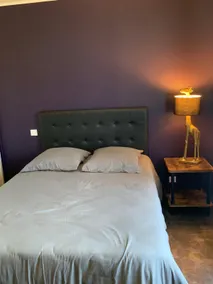 Nice 60 m2 ground floor apartment 20 minutes from Lioran - Image 3