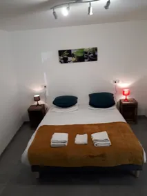 Accessible cottage in Doué-La-Fontaine. A stone's throw from the Bioparc - Image 4