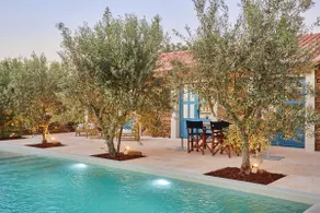 Quinta do Cedro Azul [Blue Cedar Estate] - Image 4
