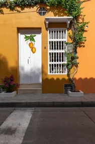 HOTEL CASA DEL MANGO - Image 3