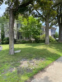 Mansion w/Inground Pool & Game Room! Near lakes. - Image 4