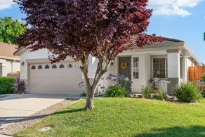 Family-Friendly Creekside House - Image 3