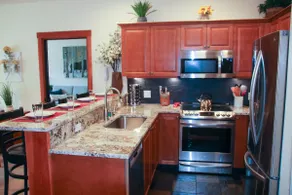 Deluxe Solitude Ski in/out 2bed/2bath Condo - Image 2