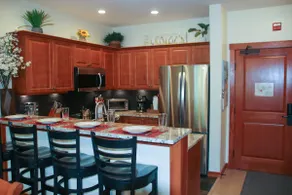 Deluxe Solitude Ski in/out 2bed/2bath Condo - Image 3