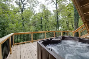 Treetop Terrace over Lago Vista Trail - Image 2