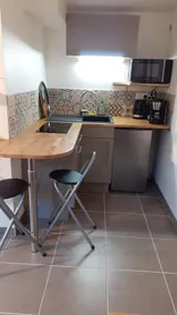 L'Arbrisier, 2* furnished tourist accommodation. - Image 4