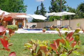 Villa Green Oasis Miro - Image 4