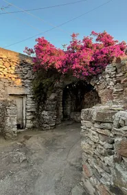 Karydianika 2 (The Walnut Tree) - Image 3