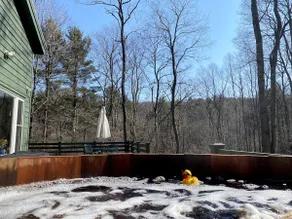 Upstate NY Private Forest Retreat w Cedar Hot Tub - Image 3