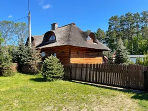 Villa under the Thatched Roof - Image 2