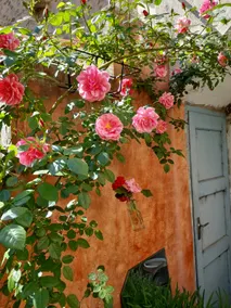 La Casita: charming one-story 2-room, terrace. - Image 4