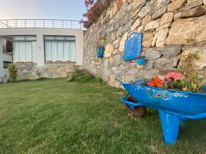 Tamta's Garden - Image 3