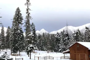 Strawberry Mnt Lookout-Tranquil Retreat On 5 Acres - Image 3