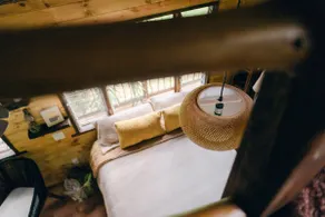 Jungle Haven at ReKindle Farm - Image 5