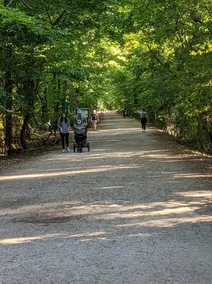 GAME DAY WEEKEND CONDO! WALK TO CAMPUS! PET FRIENDLY! WHIRLPOOL TRAILS! - Image 4