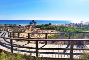 Spacious House in Gran Alacant with Private Garden - Image 3