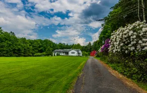 Catskill gem! Four bedroom on 20 quiet acres - Image 2