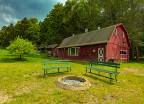 Catskill gem! Four bedroom on 20 quiet acres - Image 4