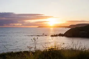 Burgh Island - SWC path -Beach 1 min-3 bed cottage - Image 2