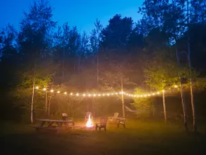 Secluded in the woods. No neighbors in sight. - Image 2