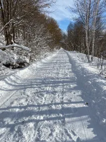 Olde Vic. An experience. Overlooks Portage Canal. - Image 3