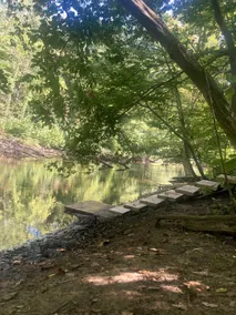 Secluded Cozy Cedar Wood Cabin in 20 acres of native woods, on the Paw Paw river - Image 5