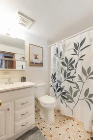 Cozy Quiet Clean Budget 1 Bedroom Apartment - Image 5