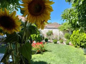 Private house with a beautiful garden - Image 4